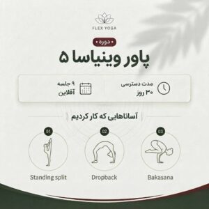 پاور وینیاسا ۵